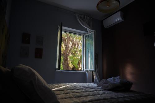 Deluxe Room image 3