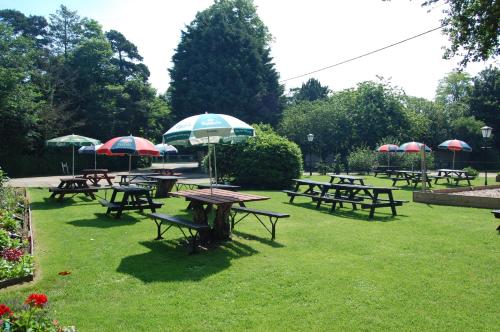 Sorrel Horse Inn - main image