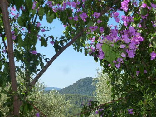 L'Origane chambre d'hôte Sospel