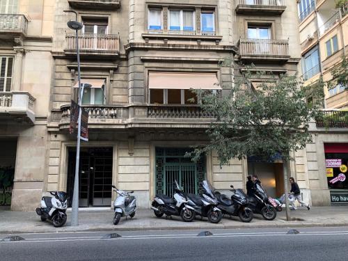 Somnio Hostels, Барселона