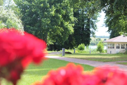 Hotel Villa Passion - image 10