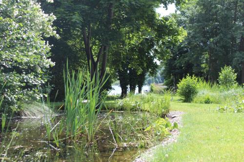 Hotel Villa Passion - image 6