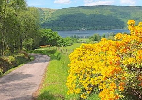 Ardno Cottage by Loch Fyne