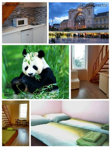  Green Panda Apartments, Pension in Budapest