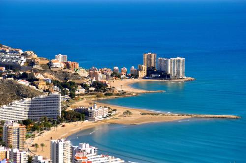 Palm Tree Cullera - image 10