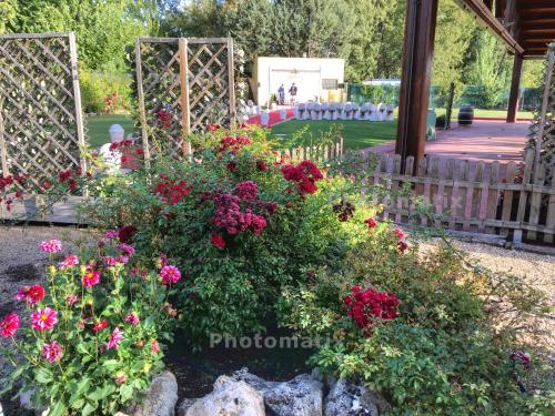 Sercotel Rey Sancho - image 9