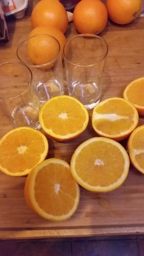 Bed & Breakfast 28 appartement met ruime tuin - main image