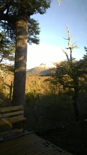 Lodge Palguin Alto
