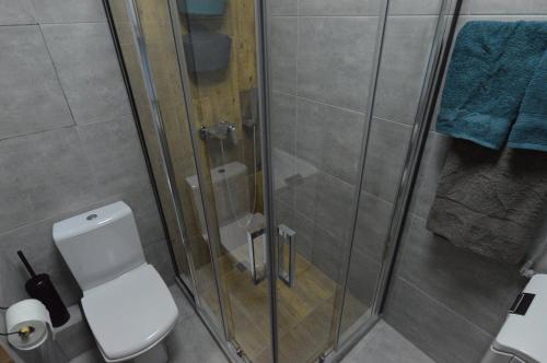 Air Loft Apartment - image 2
