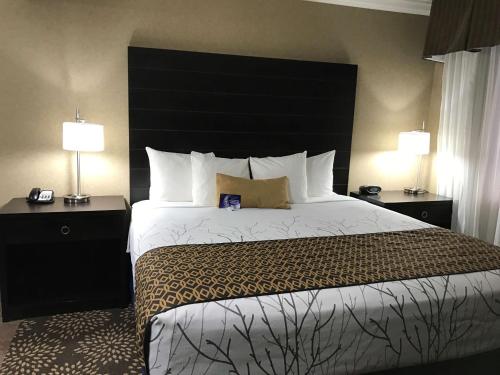 Suite-1 King Bed, Non-Smoking, Pillow Top Mattress, Presidential Room, 2 Rooms, Jetted Tub, Kitchene