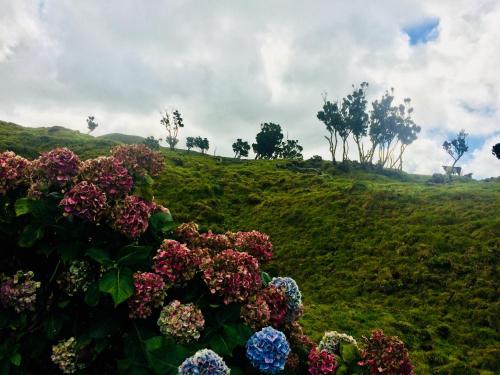 Villa Da Madalena - image 14