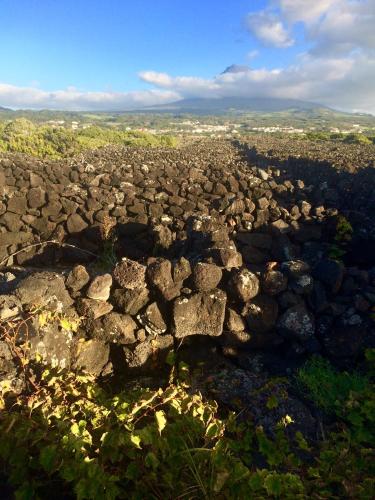 Villa Da Madalena - image 12