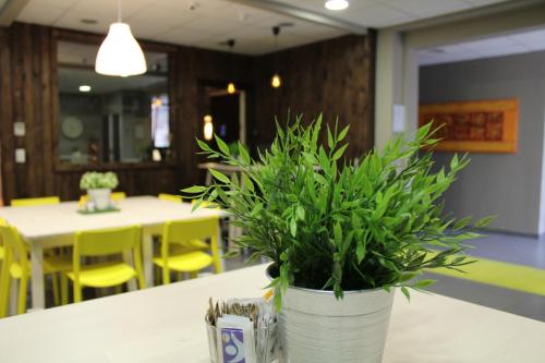 Residence Dannunziano - image 2