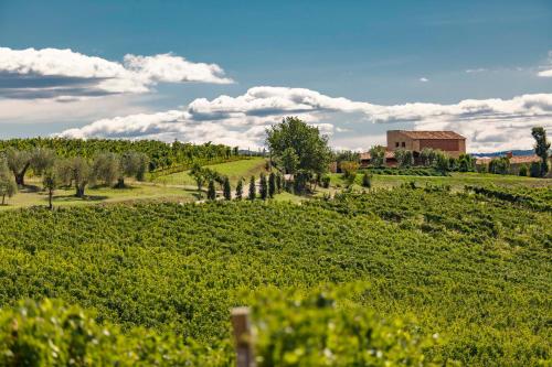  Pecora Vecchia - ColleMassari Hospitality in Cinigiano