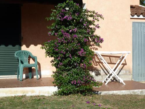 Einrichtungen, Agriturismo Vaddidulimu in Luogosanto