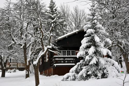 Camping, Hôtel De Plein Air Les Cariamas