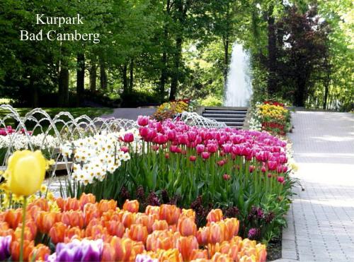 Das Moevennest Das Moevennest