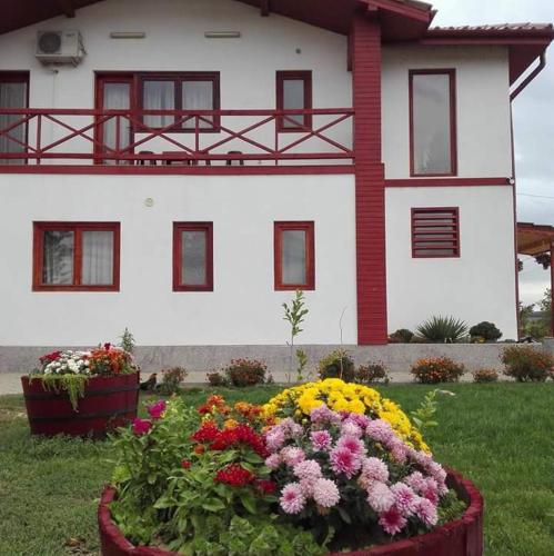Accommodation in Perişor