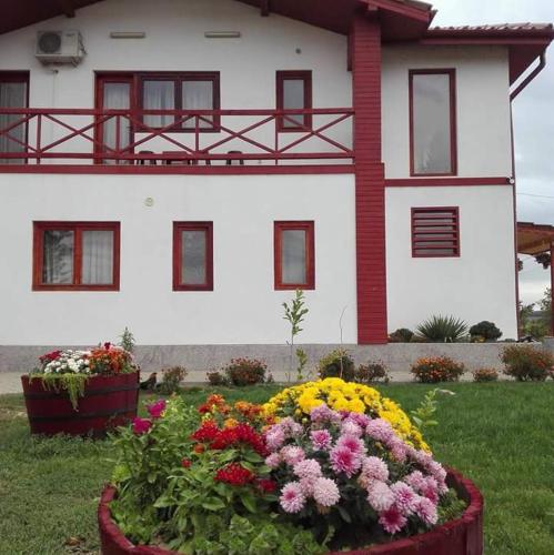 Accommodation in Dolj