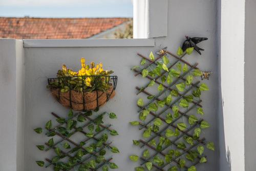 Apartamento À Francos Balcony, Porto (fotografie 3)