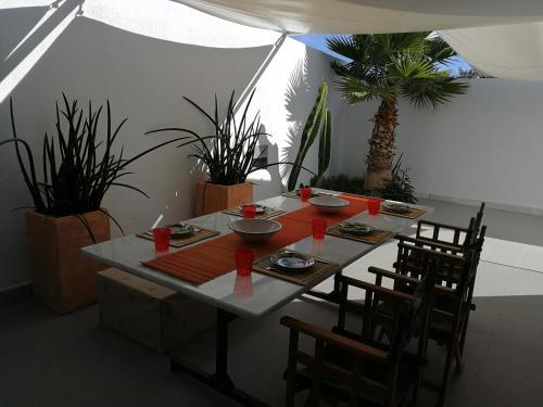 Casa Euphorbia