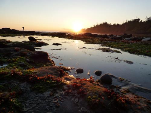 pludmale, Avatar by Eagle Reach Properties in Port Renfrew (BC)