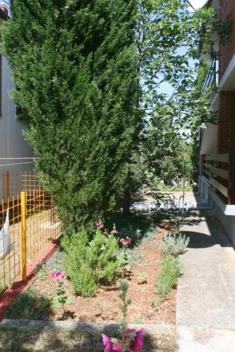 Apartments and rooms by the sea Starigrad Paklenica - 6580 - image 3