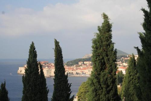 Apartments with WiFi Dubrovnik - 8600 - image 5