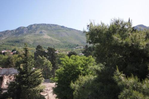 Apartments and rooms by the sea Srebreno Dubrovnik - 8957 - image 2