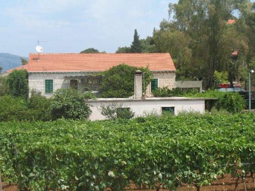 Apartments by the sea Lumbarda Korcula - 11275
