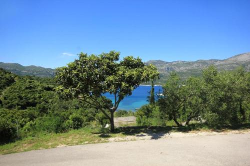 Apartments with a parking space Cove Vrbovica bay - Vrbovica (Korcula) - 4423 - image 3