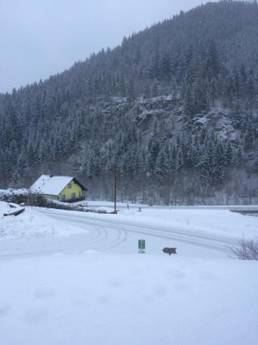 Almchalet, Stadl an der Mur (photo 4)
