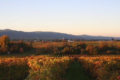 Ferienwohnung Spatzennest - image 4