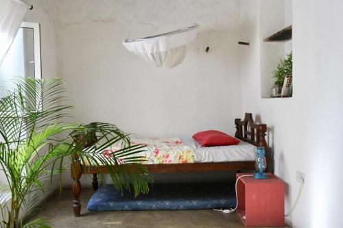 Firefly Boutique Lodge
