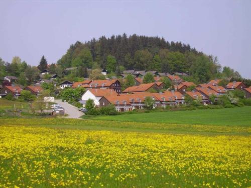 Ferienhaus Meike im Naturpark Bayr