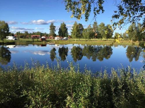 burträsk dating