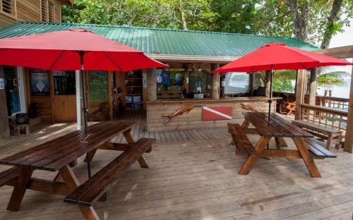 Faciliteiten, Blue Island Divers Casa Descanso in Sandy Bay