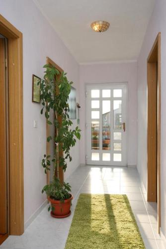 Apartments with a parking space Novi Vinodolski - 5529 - main image