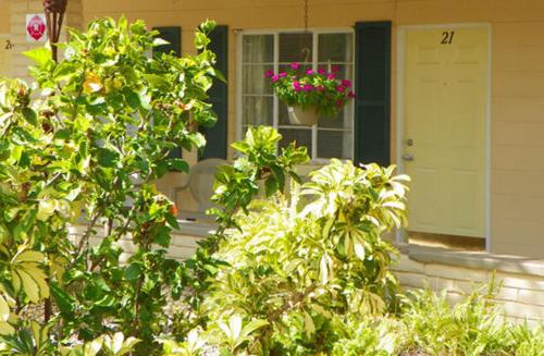 Island Breeze Inn - Venice - 출입구