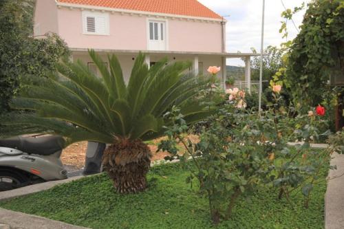 Apartments with a parking space Plat Dubrovnik - 8612 - image 8