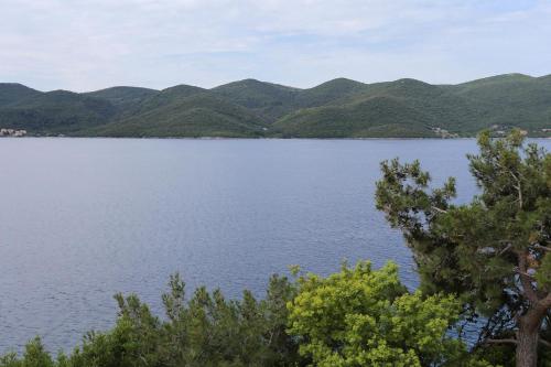 Apartments by the sea Viganj, Peljesac - 10116