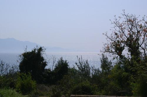 Studio Podaca 2634a, Podaca (zdjęcie 9)