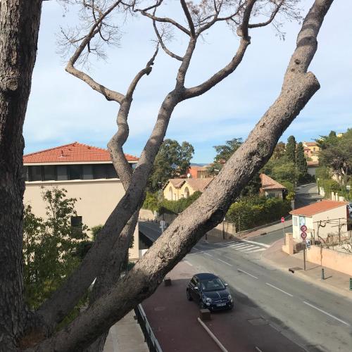 Exclusive Resort Apartment Saint Tropez 4
