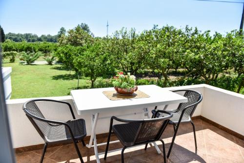 Sunrise Apartments - image 7
