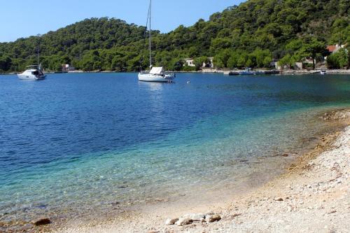 Apartments by the sea Pasadur Lastovo - 8351 - main image
