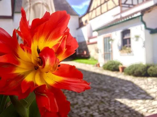 3 Seiten Ferienwohnung in Jena, Deutschland