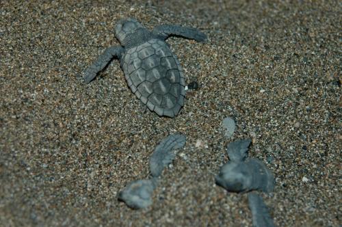 Minta Apartments - image 11