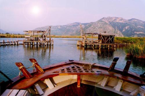 Minta Apartments - image 3