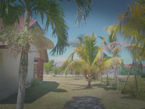 景觀, T2 de 56m2 sur terrain (560m2)avec jardin securise in 庫魯