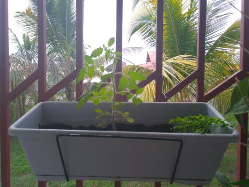 Rodyti, T2 de 56m2 sur terrain (560m2)avec jardin securise in Kuru